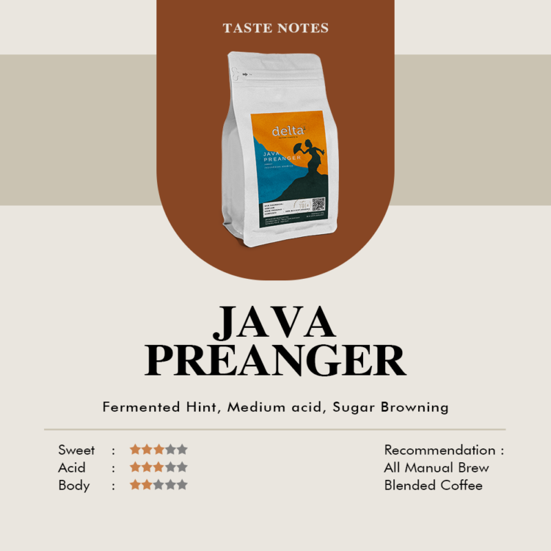 Delta Coffee Roaster