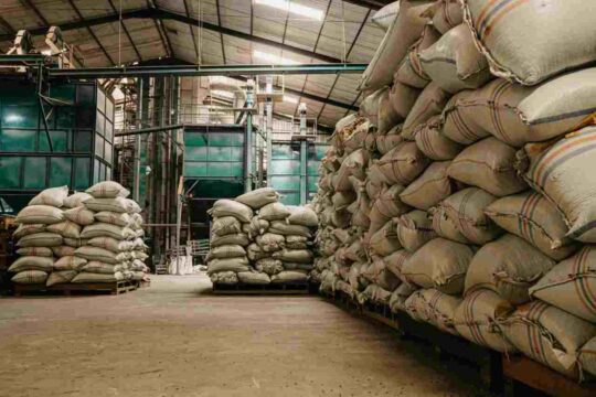 Coffee Roastery Semarang Jawa Tengah Terbaik
