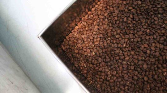 Produsen dan Supplier Kopi Goreng Murah di Indonesia