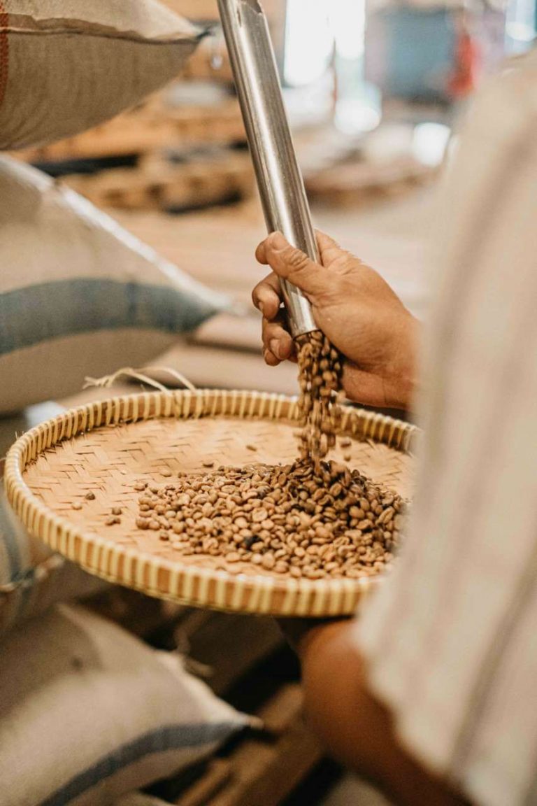 Green Coffee Beans Robusta Berkualitas