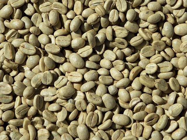 Delta Coffee Roaster