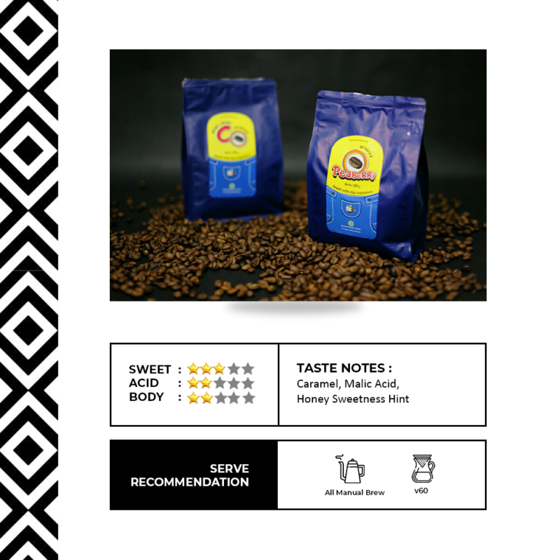 Delta Coffee Roaster