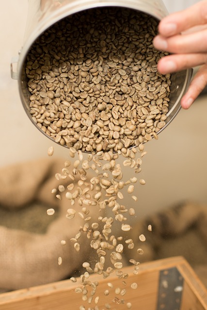 Delta Coffee Roaster