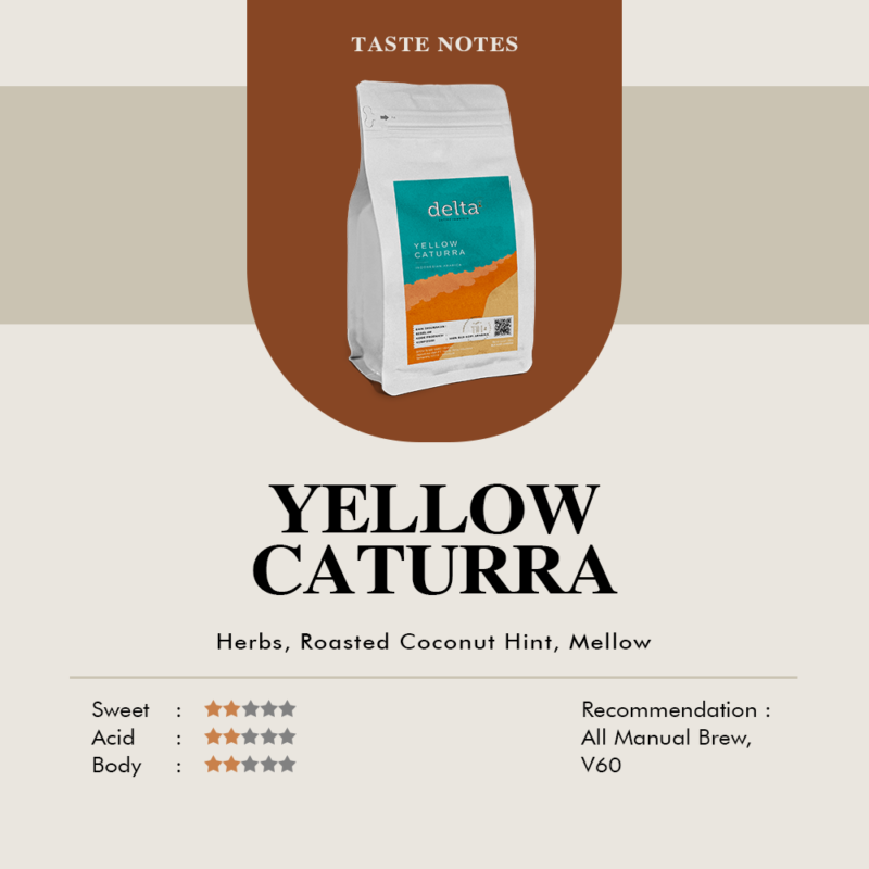 Delta Coffee Roaster