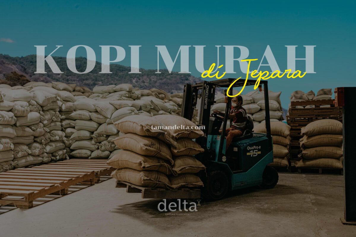 Kopi Murah di Jepara