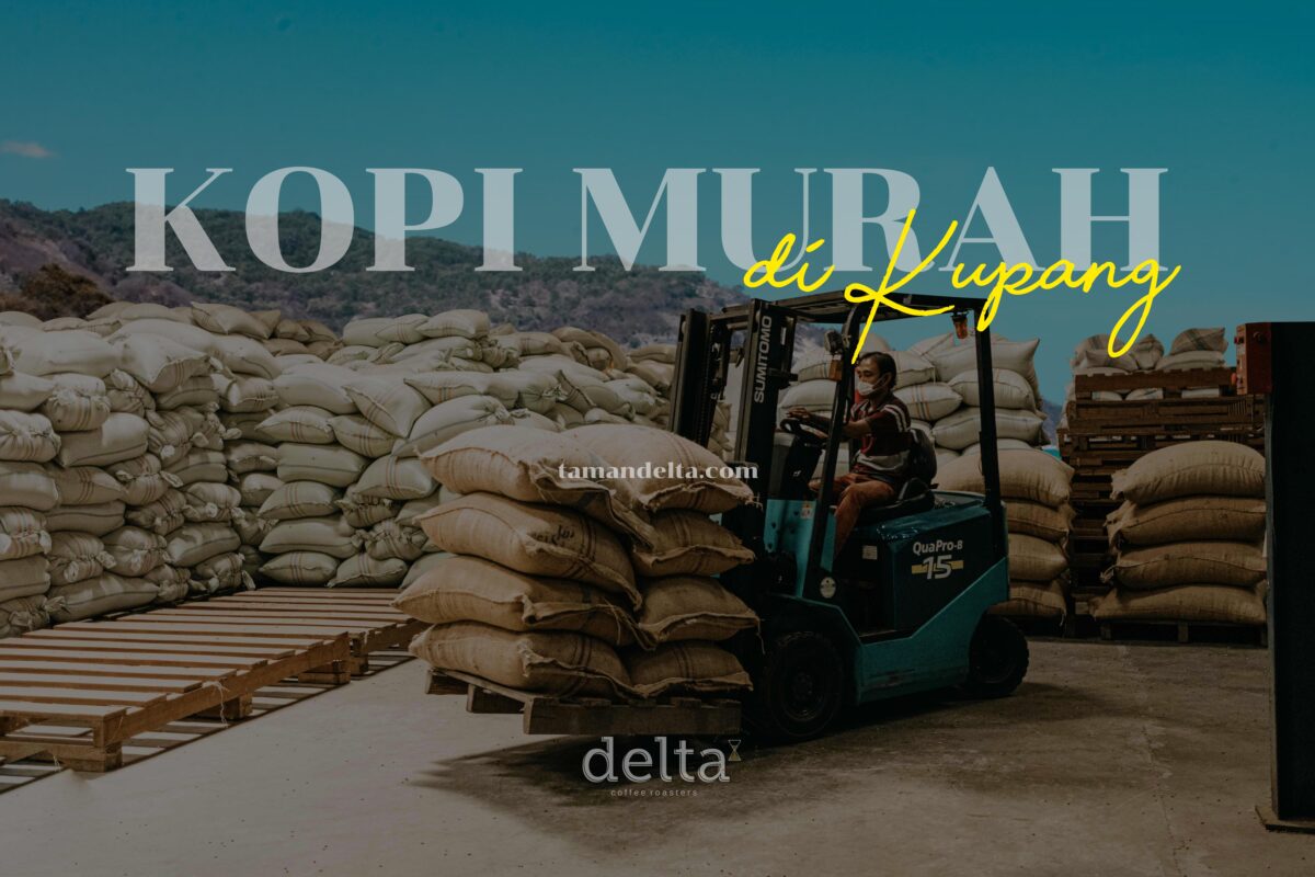 Kopi Murah di Kupang