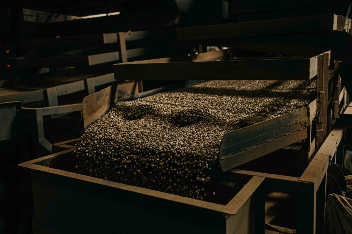 Kopi Murah di Gianyar Bali