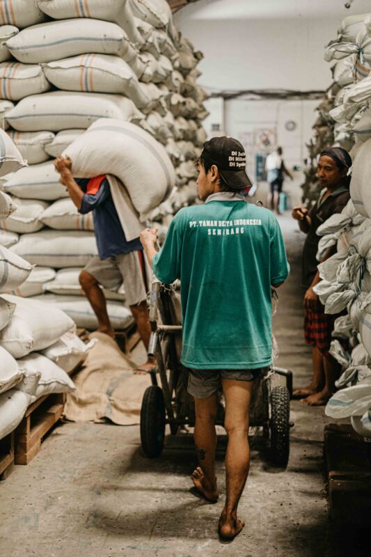 Kopi Murah di Singaraja Bali