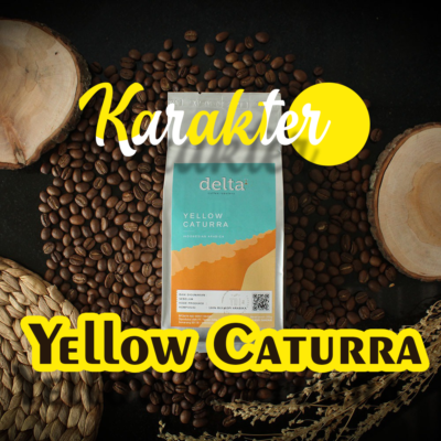 Karakter Kopi Tellow Caturra