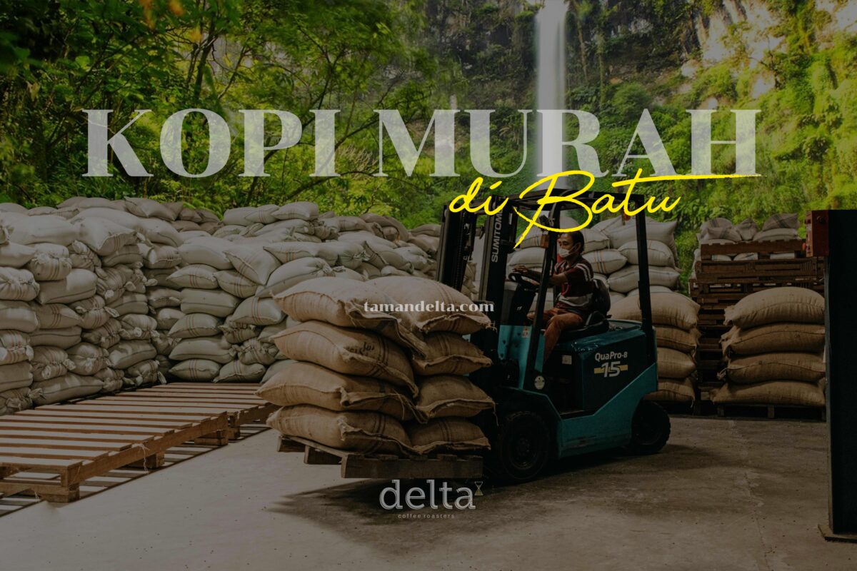 Kopi Murah di Batu
