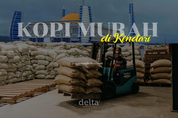 Kopi Murah di Kendari
