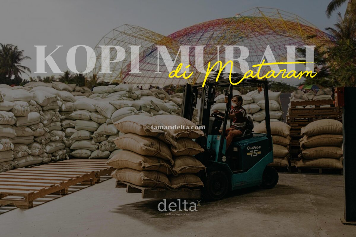 Kopi Murah di Mataram