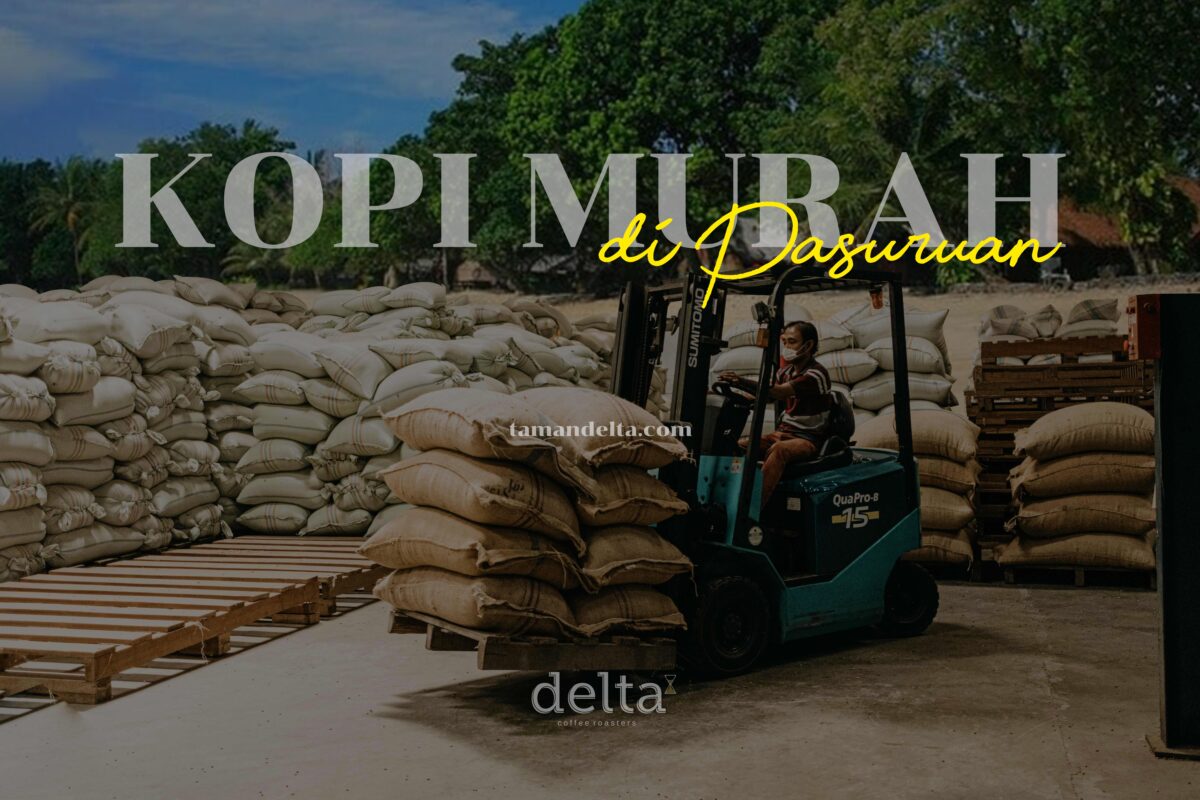 Kopi Murah di Pasuruan