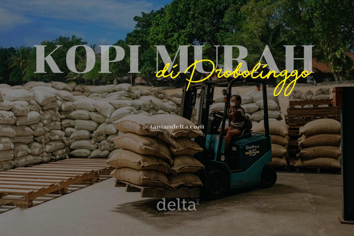 Kopi Murah di Probolinggo