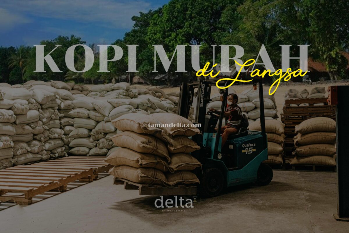 Kopi Murah di Langsa