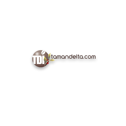 Delta Coffee Roaster