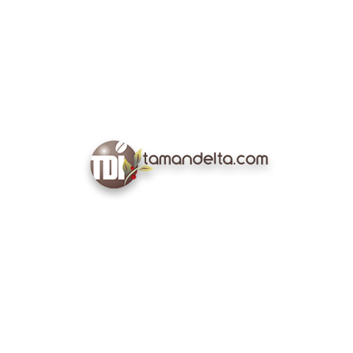 Delta Coffee Roaster