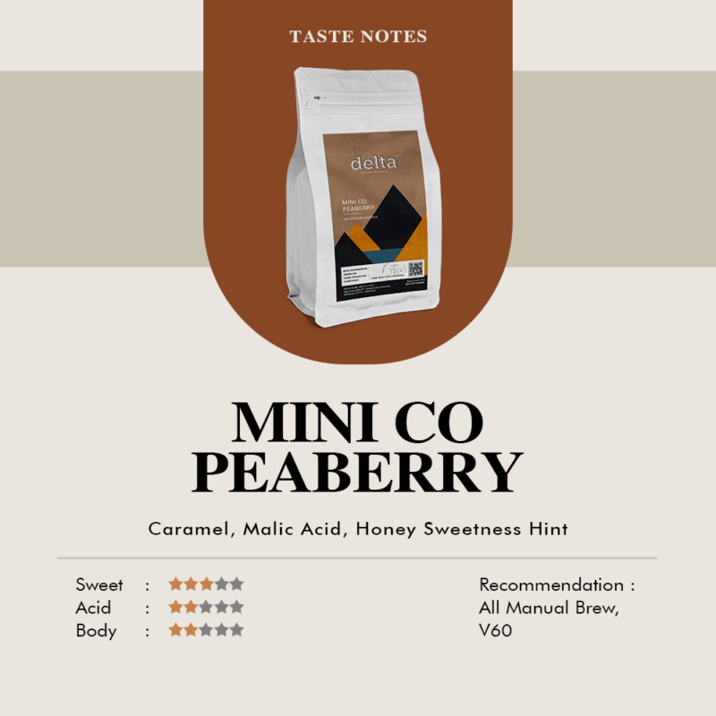 Delta Coffee Roaster