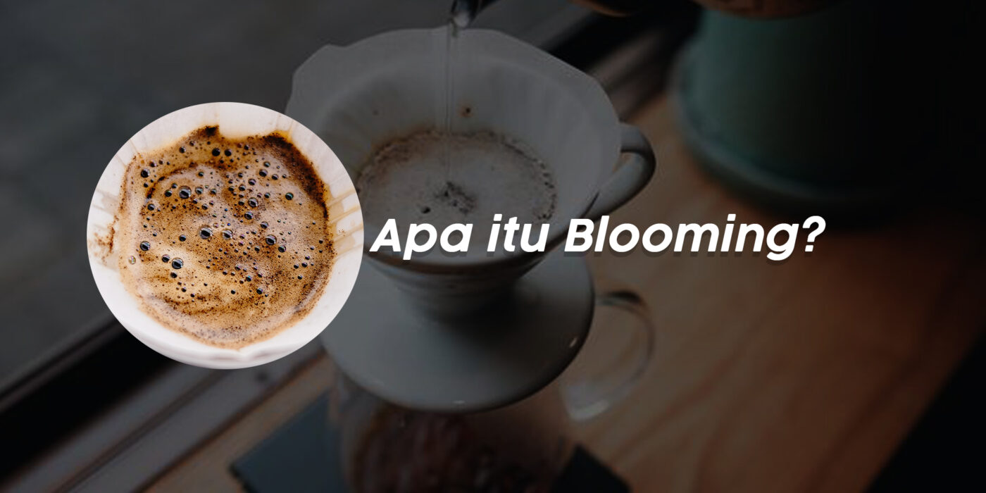 Blooming Kopi