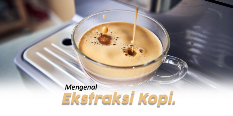Ekstraksi Kopi : 3 Parameter, dan Tujuannya 2