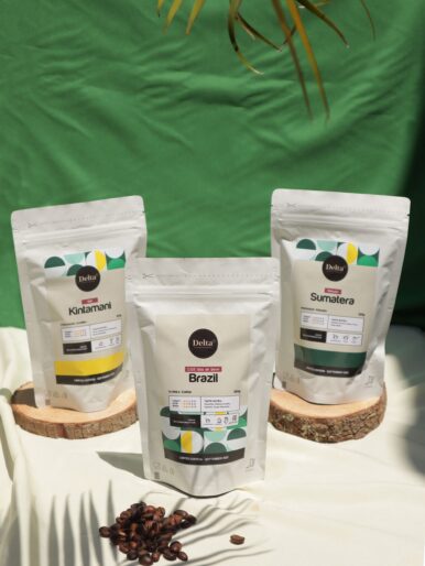 Delta Coffee Roaster