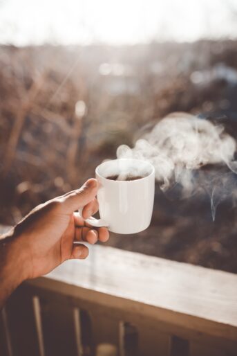 Delta Coffee Roaster