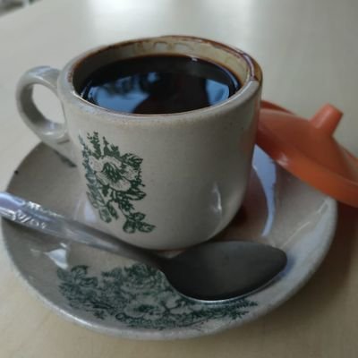 Delta Coffee Roaster