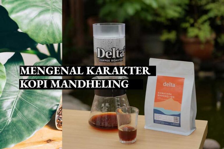Karakteristik Kopi Arabika Mandheling Mandailing Sumatera
