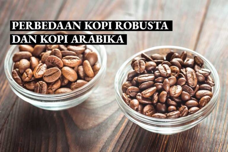 Perbedaan Kopi Robusta dan Kopi Arabika