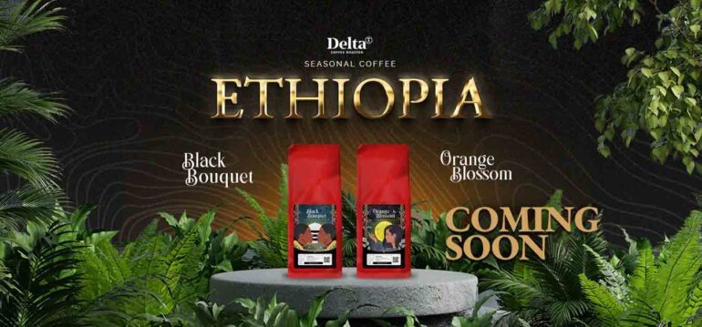 Delta Coffee Roaster