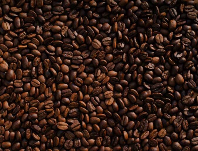 Delta Coffee Roaster