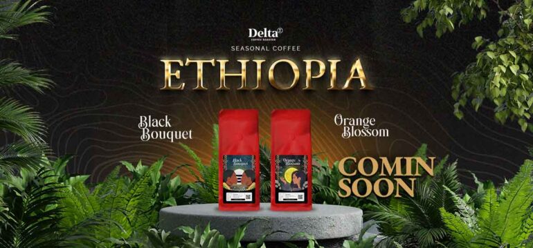 Delta Coffee Roaster