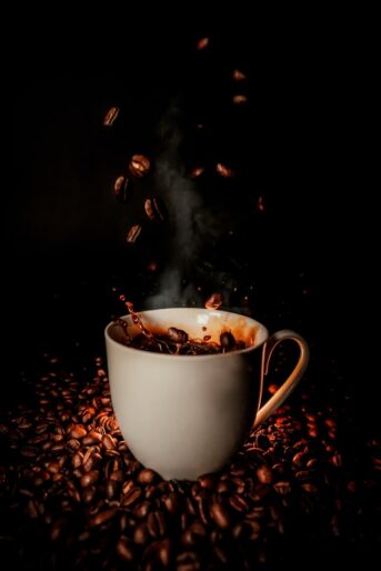 Delta Coffee Roaster