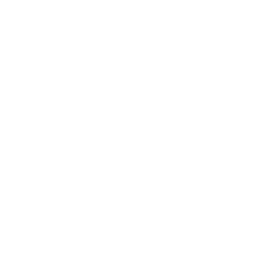 Delta Coffee Roaster