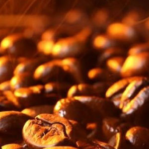 Delta Coffee Roaster