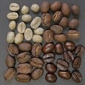 Delta Coffee Roaster