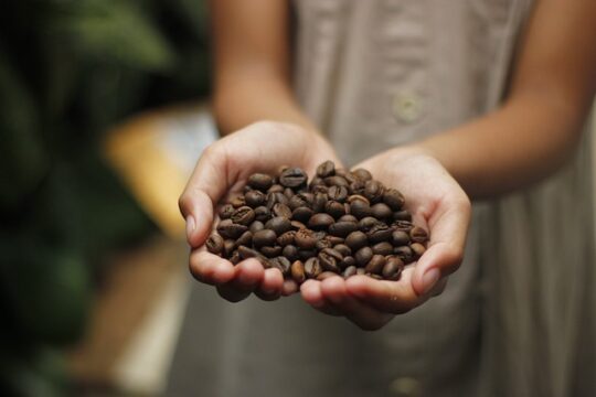 Kopi Indonesia Yang Mendunia