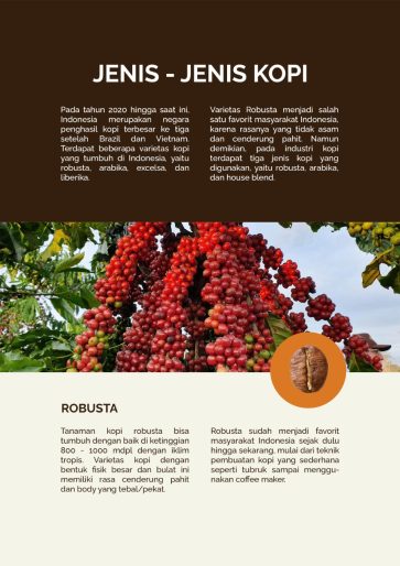 Delta Coffee Roaster