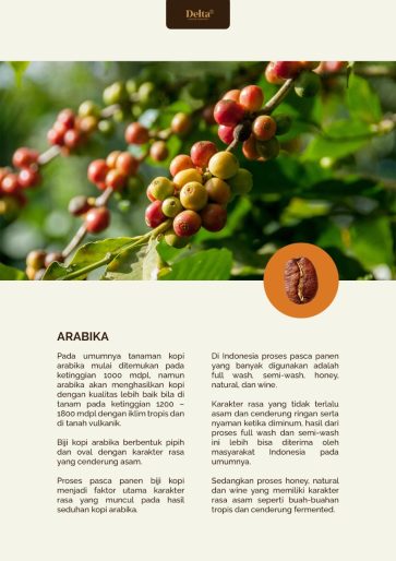 Delta Coffee Roaster