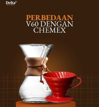Chemex vs V60