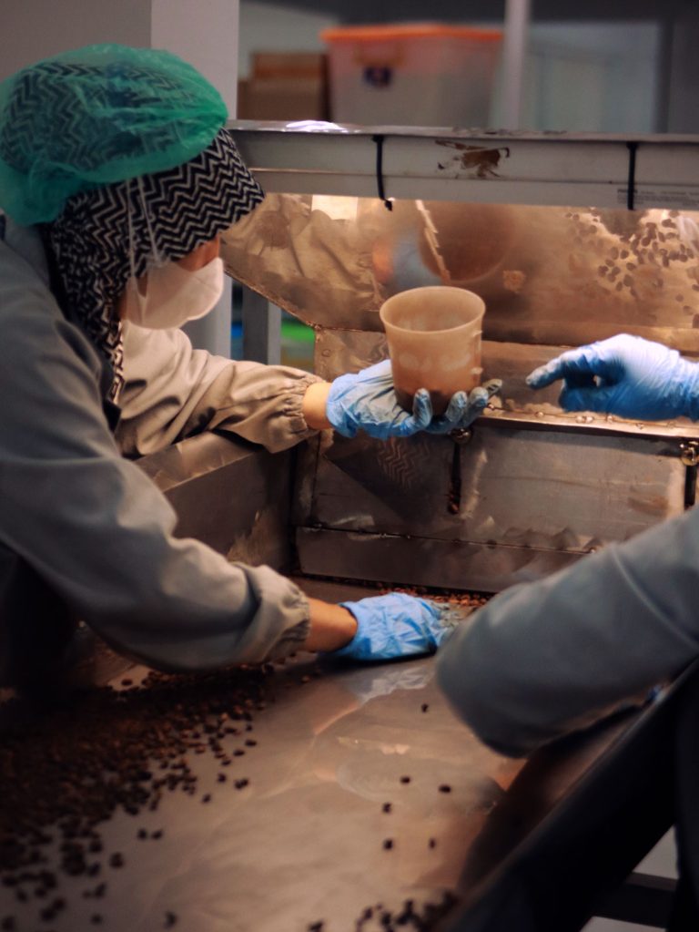 Proses Pemilihan Biji Kopi Berkualitas Delta Coffee Roastery