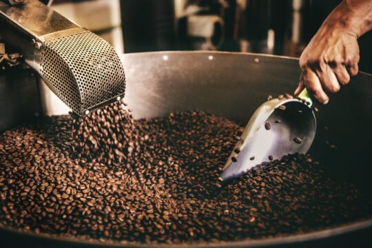 Panduan Memilih Biji Kopi Kiloan Berkualitas Tinggi