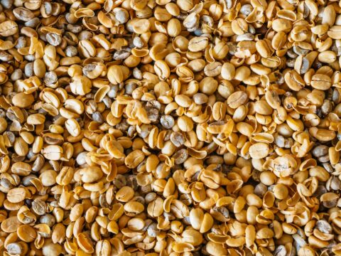 Cara Menghitung Nilai Cacat (Defect) Biji Kopi