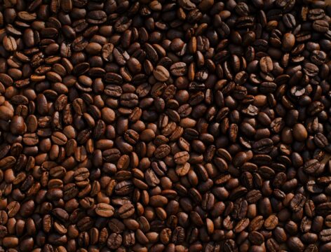 Daerah penghasil kopi arabika terbaik di Indonesia