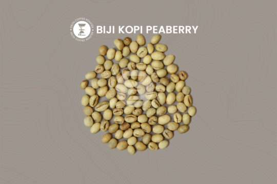 Mengenal Biji Kopi Peaberry