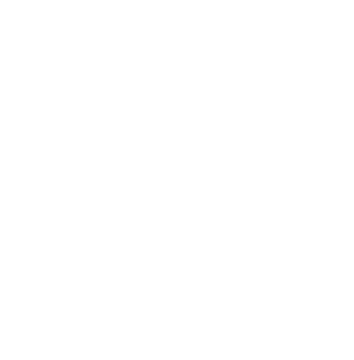 Delta Coffee Roaster