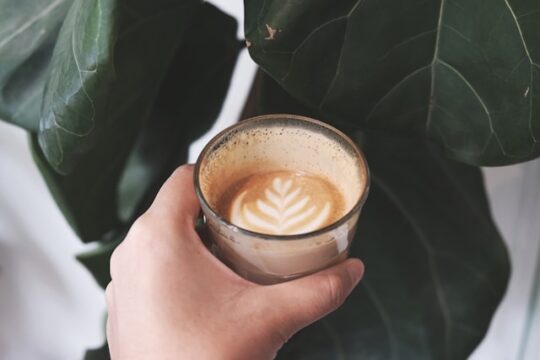 Apa itu Kopi Cortado Karakteristik dan Sejarah Kopi Cortado