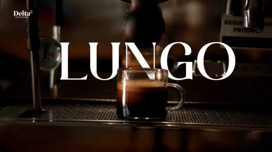 Apa itu Lungo adalah