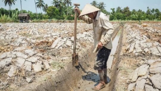 Faktor Cuaca, Badai El Nino di Vietnam