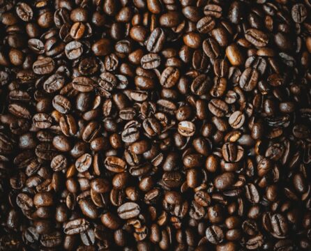 Strategi Menghadapi Kenaikan Harga Kopi Robusta